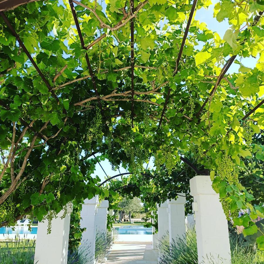 Masseria Almadava Polignano a Mare Luaran gambar